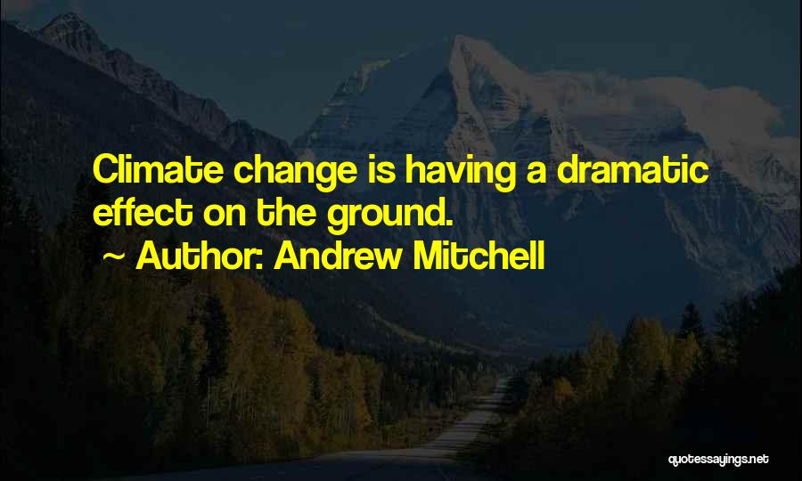 Mitchell Quotes By Andrew Mitchell