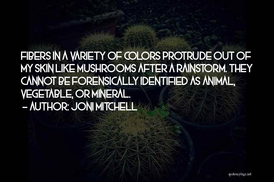 Mitchell Quotes By Joni Mitchell