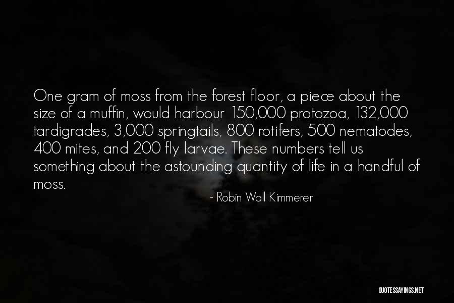 Mites Quotes By Robin Wall Kimmerer Mites Quotes By Robin Wall Kimmerer