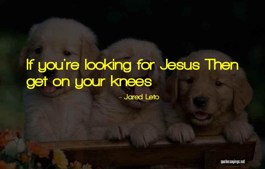 Mitesh Patel Quotes By Jared Leto Mitesh Patel Quotes By Jared Leto