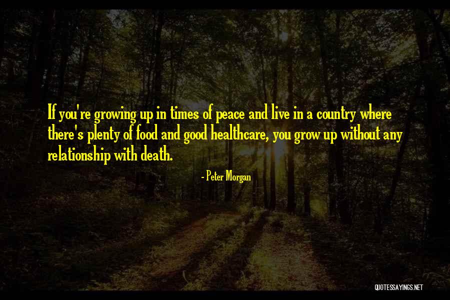 Mithril Casing Quotes By Peter Morgan Mithril Casing Quotes By Peter Morgan
