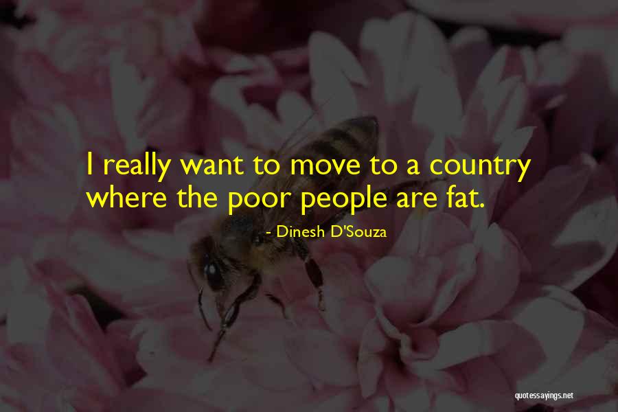 Mitico Fondatore Quotes By Dinesh D'Souza Mitico Fondatore Quotes By Dinesh D'Souza