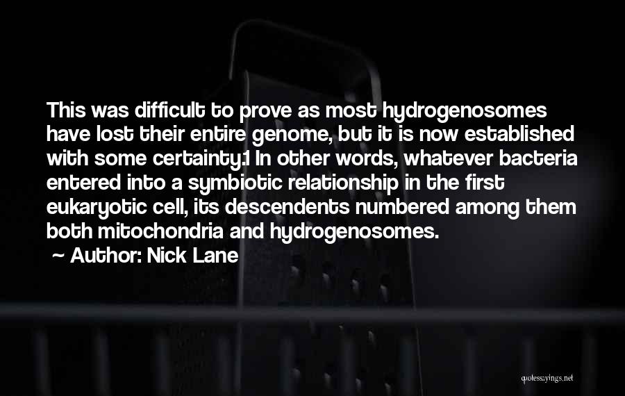 Mitochondria Quotes By Nick Lane