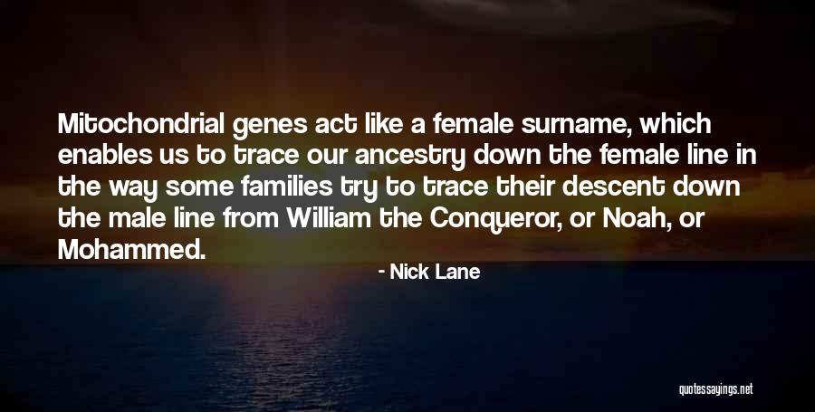 Mitochondrial Quotes By Nick Lane Mitochondrial Quotes By Nick Lane