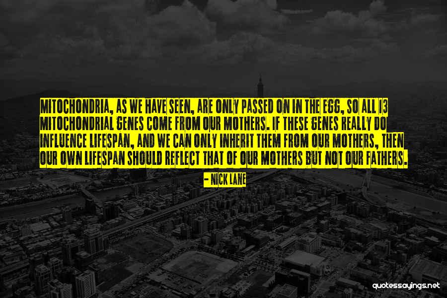 Mitochondrial Quotes By Nick Lane Mitochondrial Quotes By Nick Lane