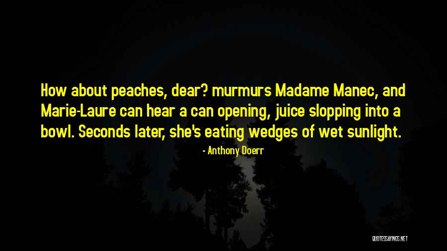 Mitsos The Laughing Quotes By Anthony Doerr Mitsos The Laughing Quotes By Anthony Doerr