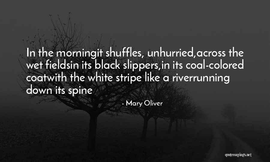 Mitsukuni Quotes By Mary Oliver Mitsukuni Quotes By Mary Oliver
