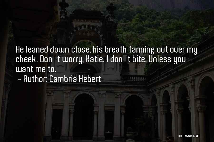 Mitsurugi Quotes By Cambria Hebert