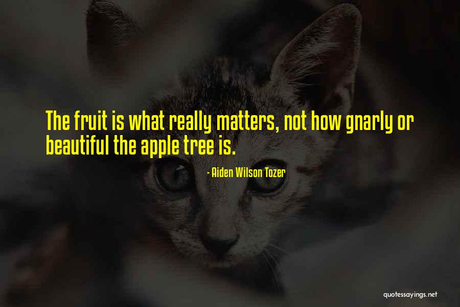 Mitsutaka Itakura Quotes By Aiden Wilson Tozer Mitsutaka Itakura Quotes By Aiden Wilson Tozer