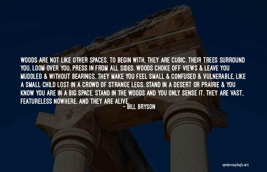 Mitsuzo Shimizu Quotes By Bill Bryson Mitsuzo Shimizu Quotes By Bill Bryson