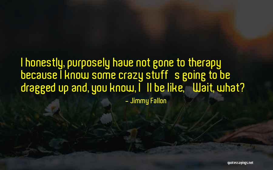 Mittelberg Apart Hotel Quotes By Jimmy Fallon Mittelberg Apart Hotel Quotes By Jimmy Fallon