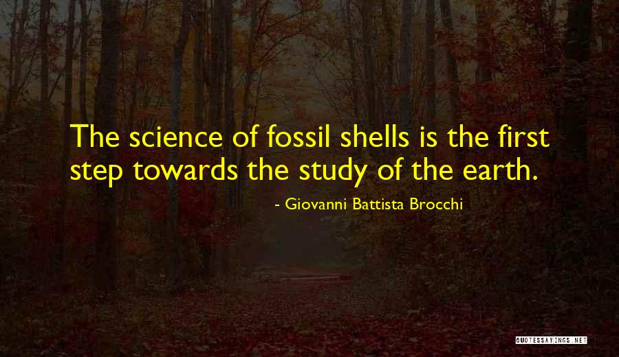 Mittelstand Quotes By Giovanni Battista Brocchi Mittelstand Quotes By Giovanni Battista Brocchi