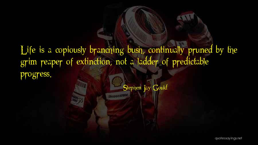 Mittendorfs Louisiana Quotes By Stephen Jay Gould Mittendorfs Louisiana Quotes By Stephen Jay Gould