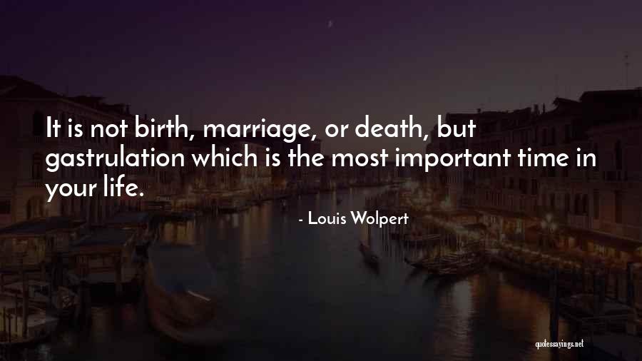 Mittlerweile Quotes By Louis Wolpert Mittlerweile Quotes By Louis Wolpert