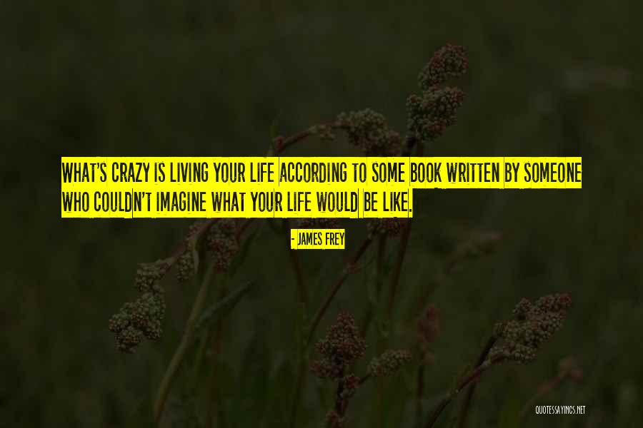 Mix And Mingle Quotes By James Frey Mix And Mingle Quotes By James Frey