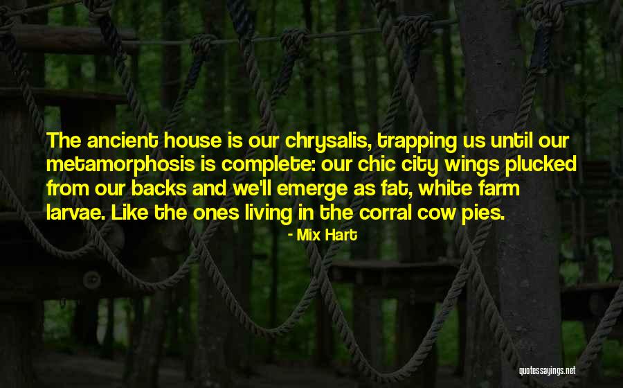 Mix Hart Quotes 91845