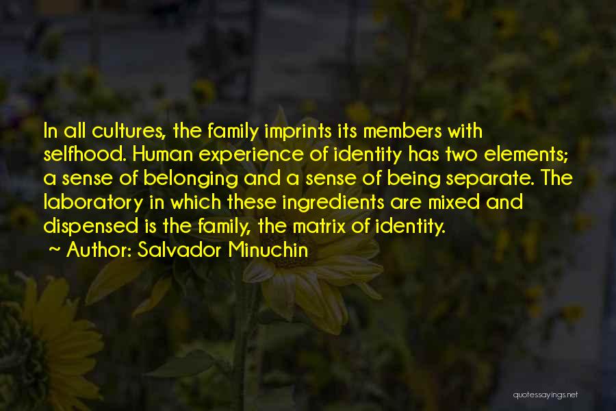 Mixed Cultures Quotes By Salvador Minuchin