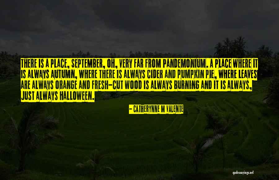Mixed Plate Quotes By Catherynne M Valente Mixed Plate Quotes By Catherynne M Valente