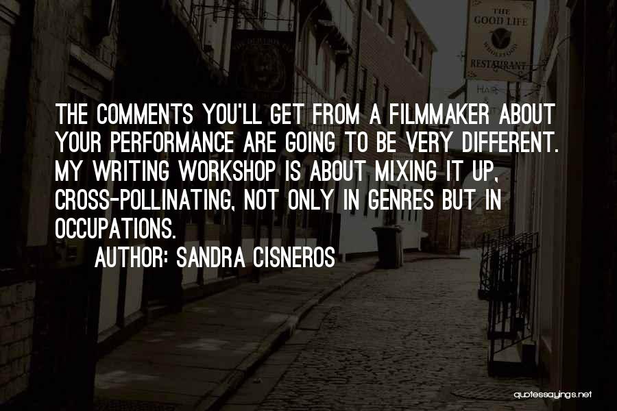 Mixing Quotes By Sandra Cisneros