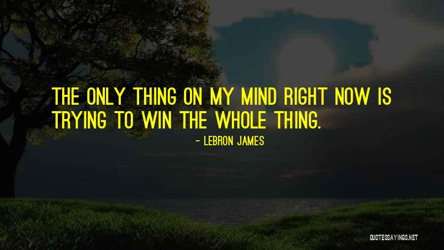 Mixmaster Quotes By LeBron James Mixmaster Quotes By LeBron James