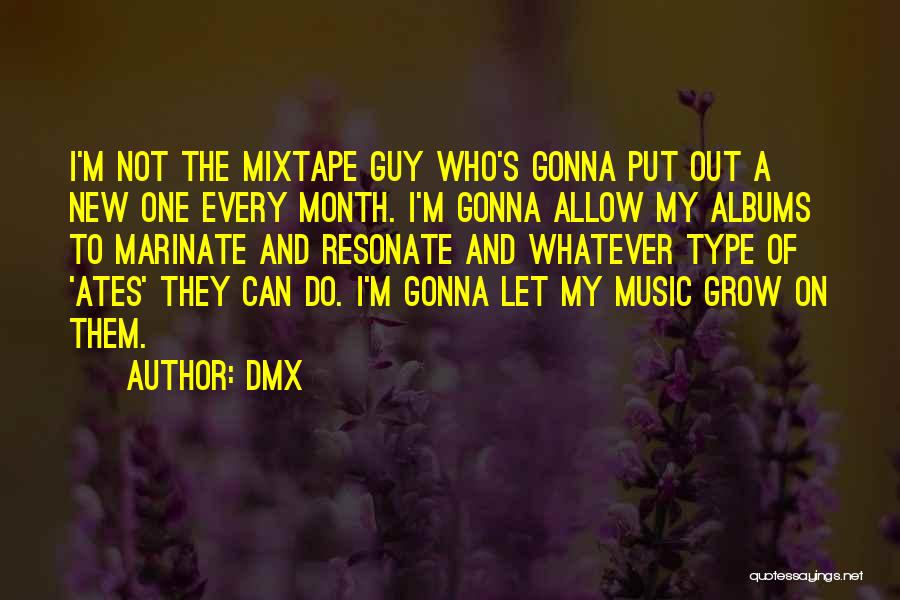 Mixtape Quotes By DMX
