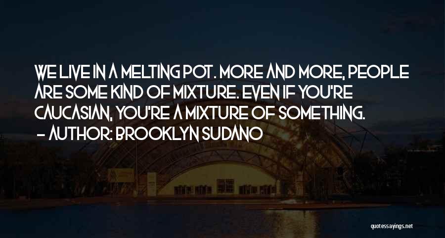 Mixtures Quotes By Brooklyn Sudano