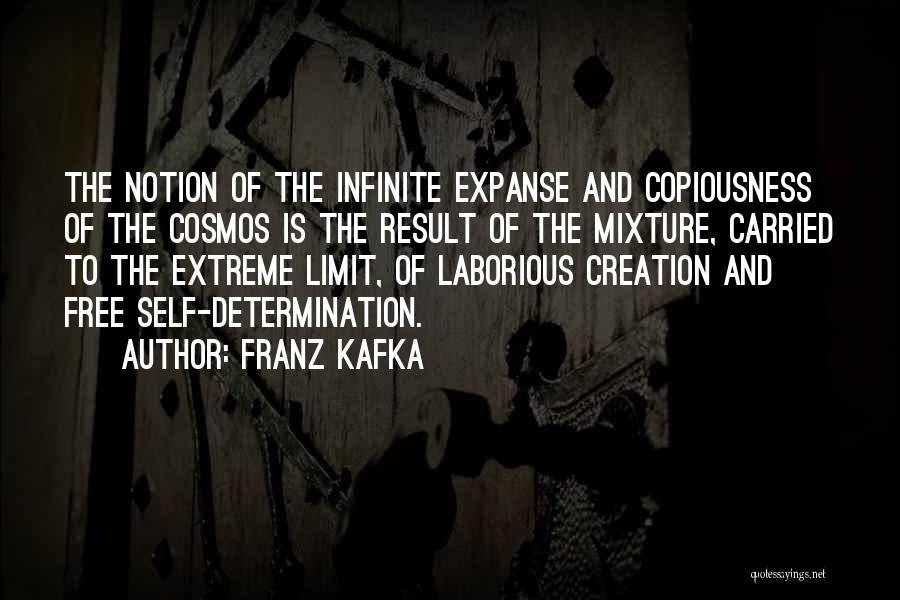 Mixtures Quotes By Franz Kafka