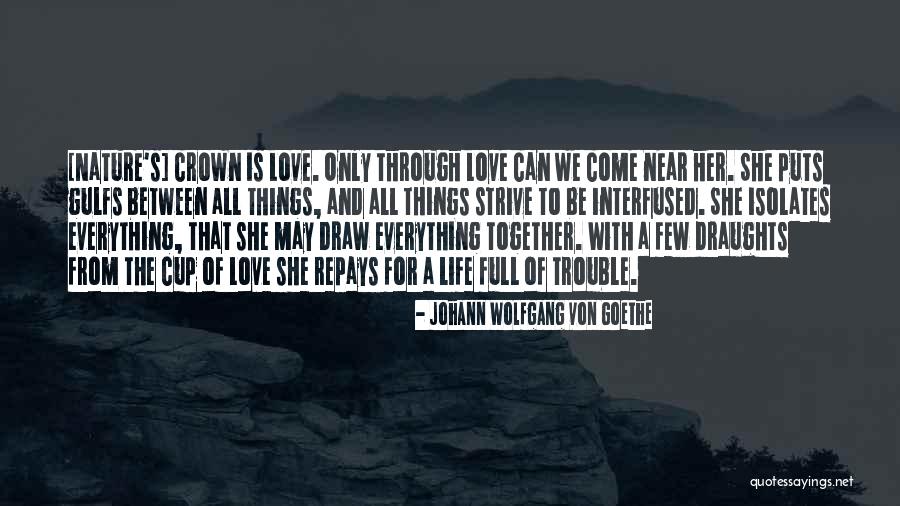 Miyagawa Seimensho Quotes By Johann Wolfgang Von Goethe Miyagawa Seimensho Quotes By Johann Wolfgang Von Goethe