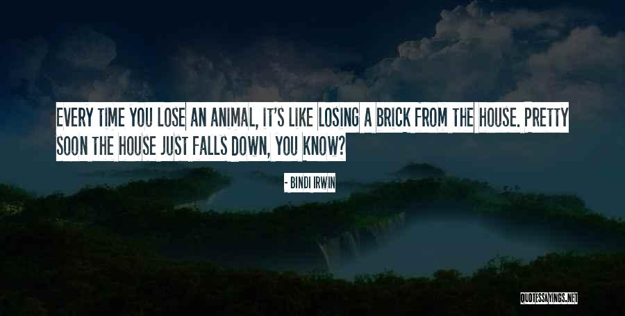 Miyama Ryu Quotes By Bindi Irwin Miyama Ryu Quotes By Bindi Irwin