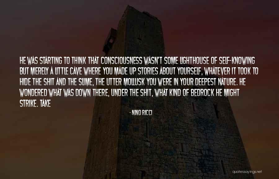 Miyatake Dds Quotes By Nino Ricci Miyatake Dds Quotes By Nino Ricci