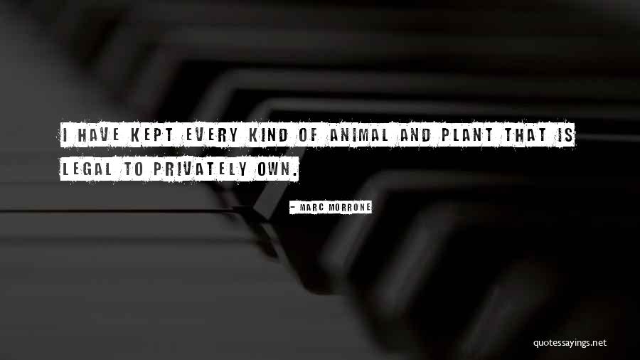 Miyavi Wife Quotes By Marc Morrone Miyavi Wife Quotes By Marc Morrone