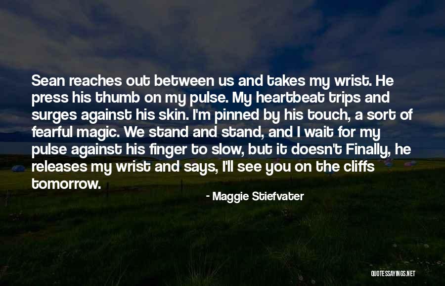 Mizuo Nakamura Quotes By Maggie Stiefvater Mizuo Nakamura Quotes By Maggie Stiefvater