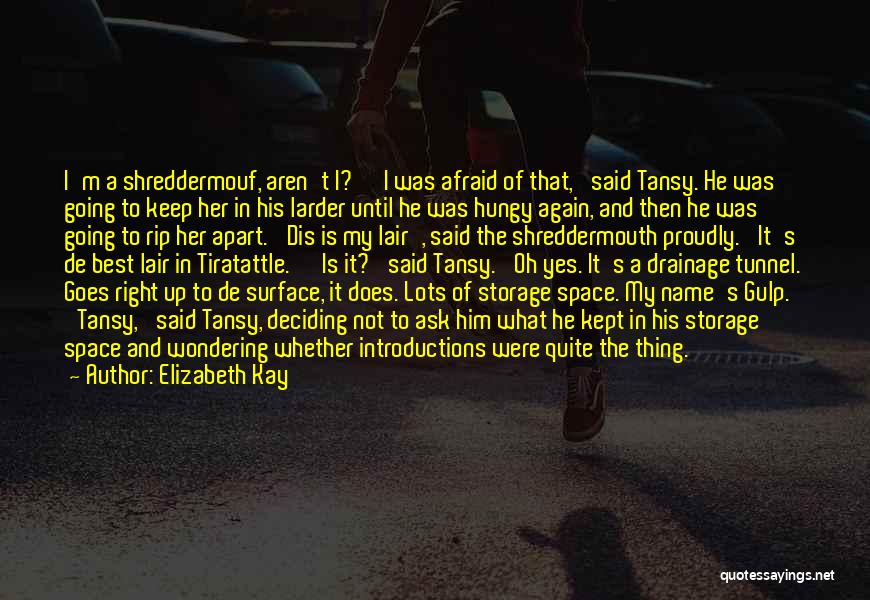 M'kay Quotes By Elizabeth Kay