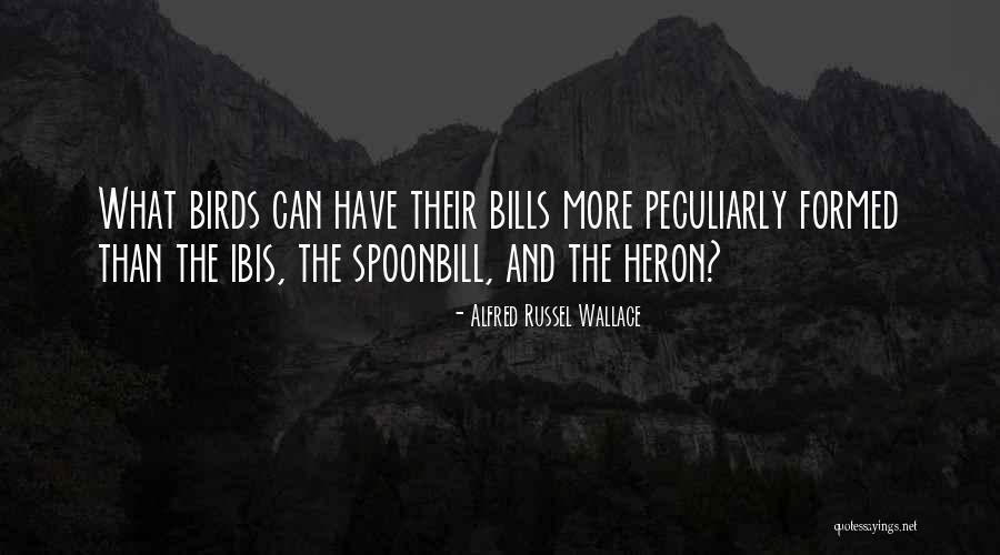 Mla Format Block Quotes By Alfred Russel Wallace Mla Format Block Quotes By Alfred Russel Wallace