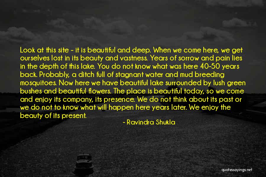 Mla Paper With Quotes By Ravindra Shukla Mla Paper With Quotes By Ravindra Shukla