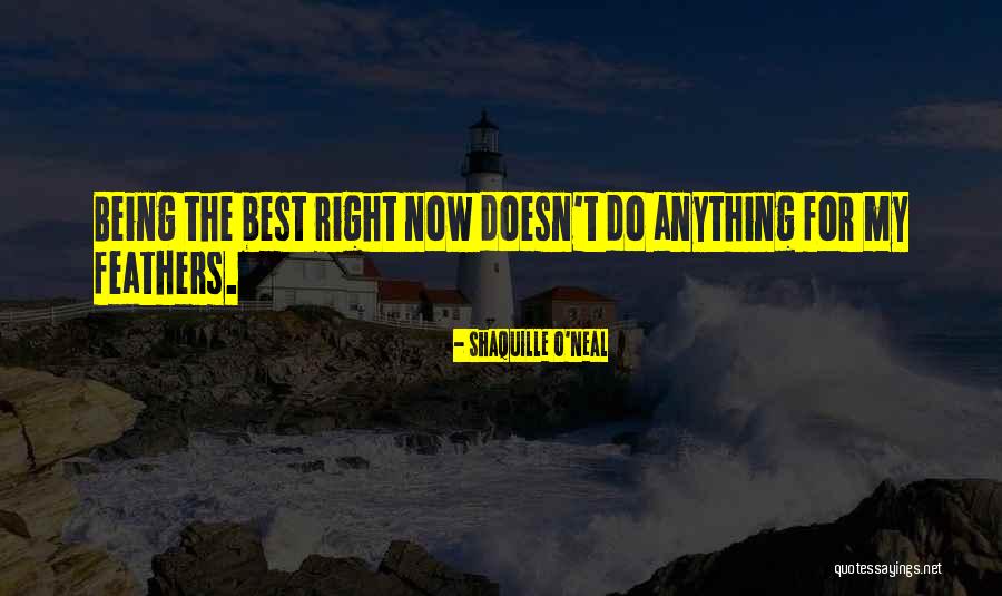 Mlazmna Quotes By Shaquille O'Neal Mlazmna Quotes By Shaquille O'Neal