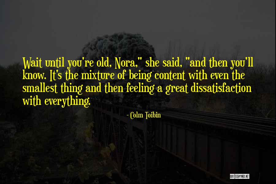 Mlvapp Quotes By Colm Toibin Mlvapp Quotes By Colm Toibin