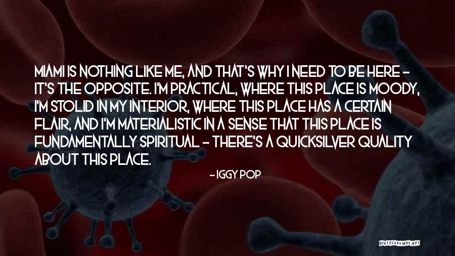 Mlyncek Quotes By Iggy Pop Mlyncek Quotes By Iggy Pop