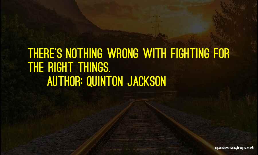 Mma Fighting Quotes By Quinton Jackson