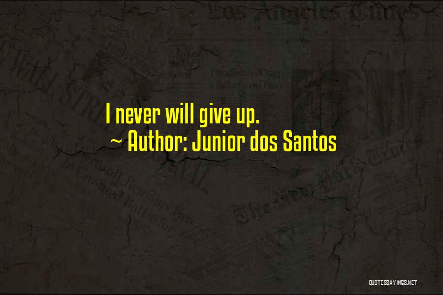 Mma Ufc Quotes By Junior Dos Santos