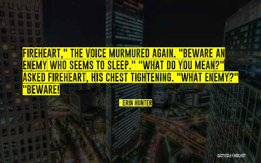 Mmiw Quotes By Erin Hunter Mmiw Quotes By Erin Hunter