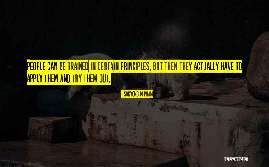 Mmmmmmmmdcccxlviii Quotes By Sakyong Mipham Mmmmmmmmdcccxlviii Quotes By Sakyong Mipham