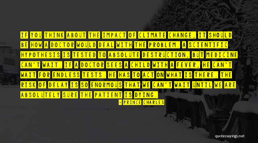 Mnasz Rallye Quotes By Prince Charles Mnasz Rallye Quotes By Prince Charles