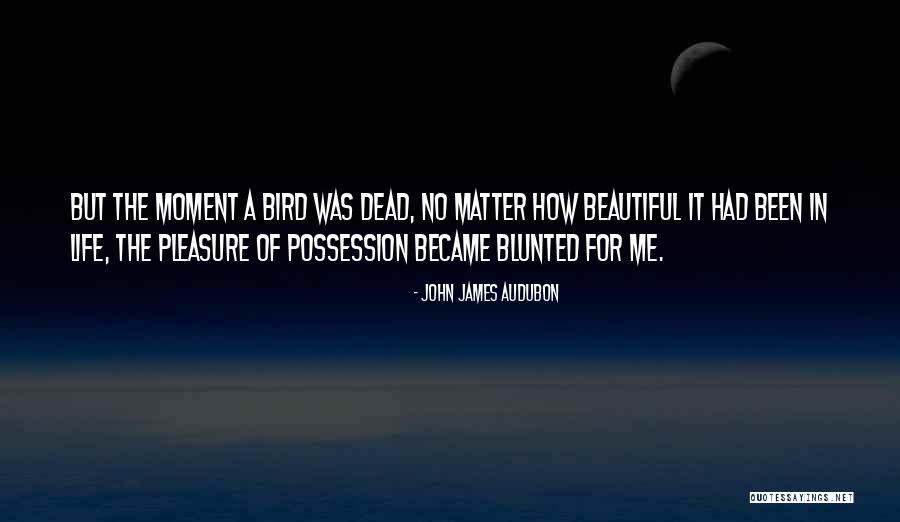 Mnemonist One From Whose Memory Quotes By John James Audubon Mnemonist One From Whose Memory Quotes By John James Audubon