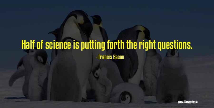 Mnesica Quotes By Francis Bacon Mnesica Quotes By Francis Bacon