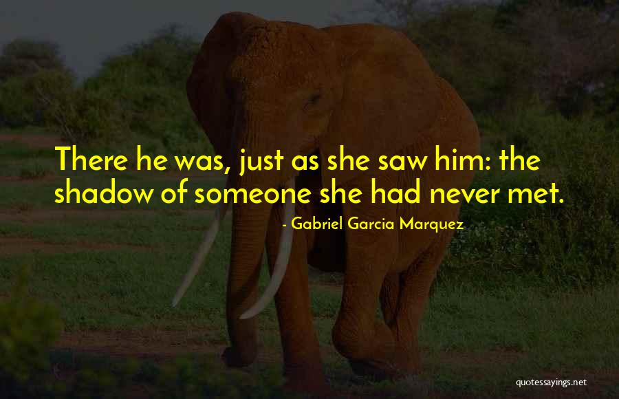 Mnookin Hbs Quotes By Gabriel Garcia Marquez Mnookin Hbs Quotes By Gabriel Garcia Marquez
