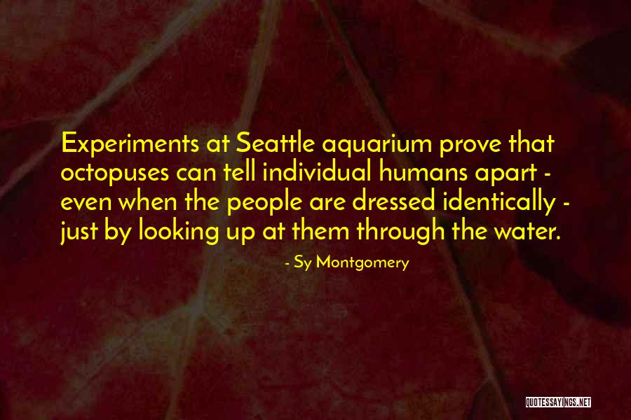 Moazzam Malik Quotes By Sy Montgomery Moazzam Malik Quotes By Sy Montgomery