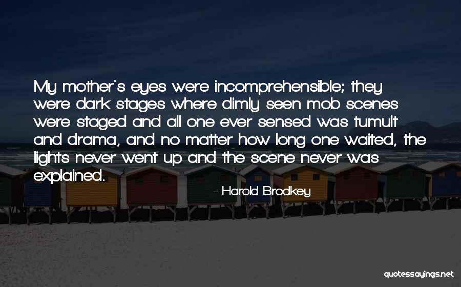 Mob Scene Quotes By Harold Brodkey