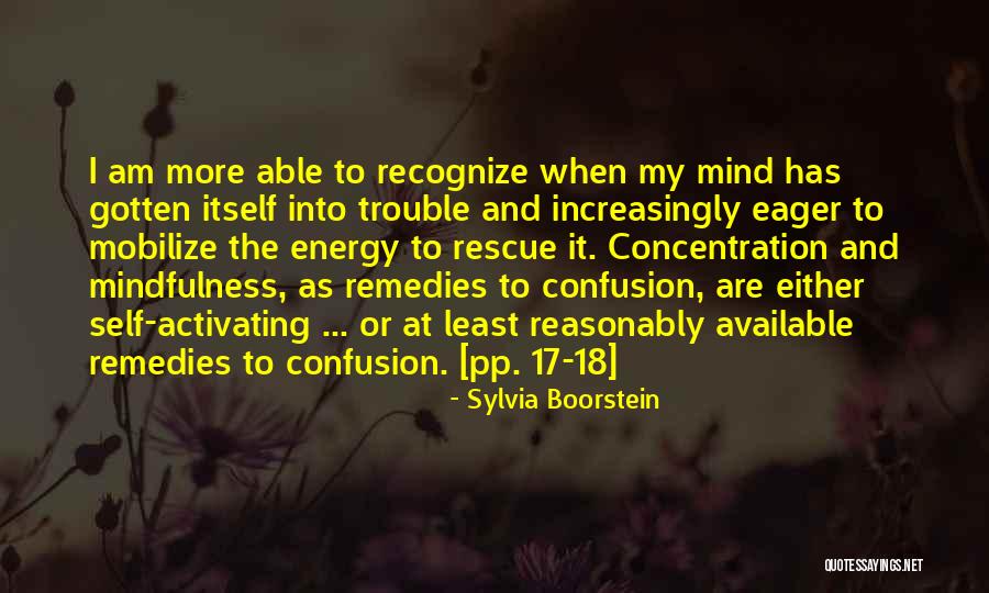 Mobilize Rescue Quotes By Sylvia Boorstein Mobilize Rescue Quotes By Sylvia Boorstein