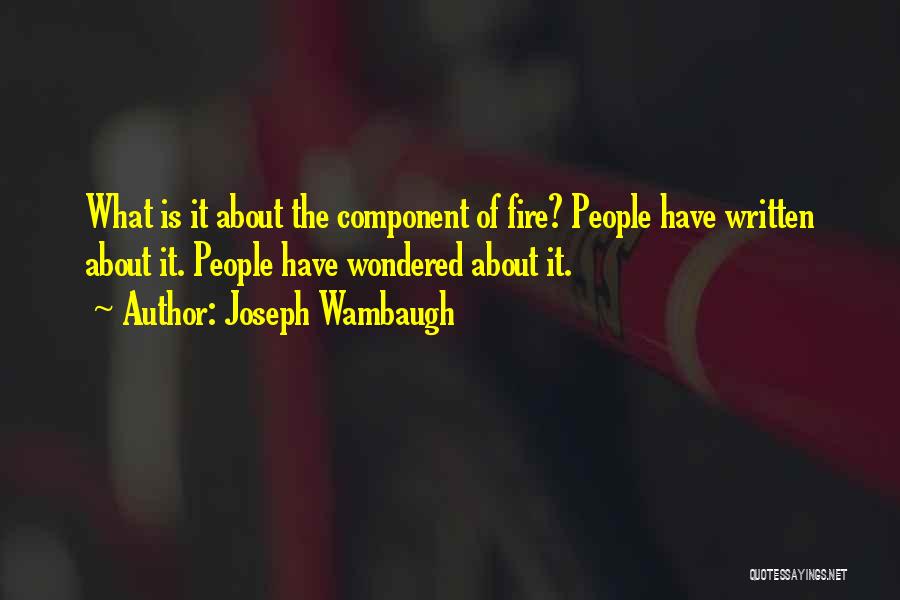 Mochila Animada Quotes By Joseph Wambaugh